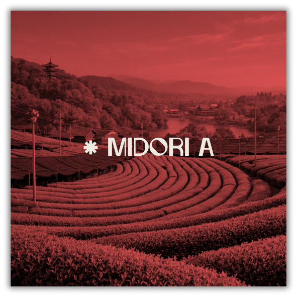 * MIDORI A